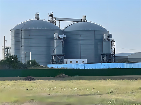 辽宁钢板仓建造施工方案详解